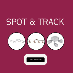 Searchlight Spot & Track