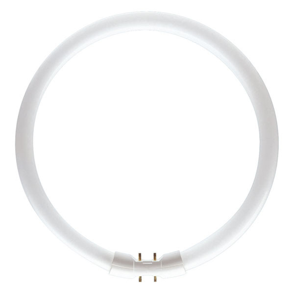 Bell Lighting 05463 40W 4000K T5 Circular Fluorescent Tube - 2GX13 Base